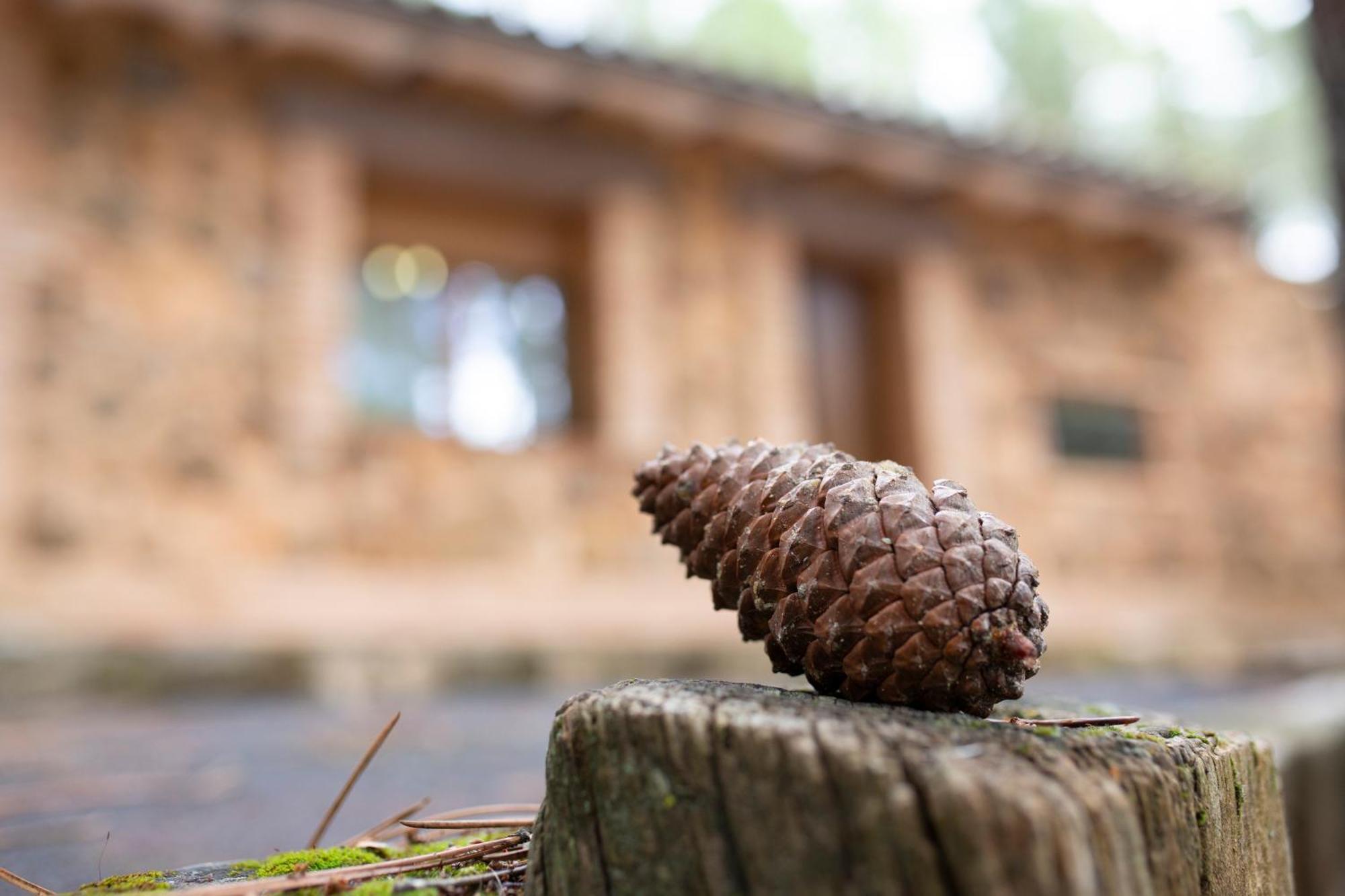 Casa Rural Riopar, Luxury In Nature エクステリア 写真