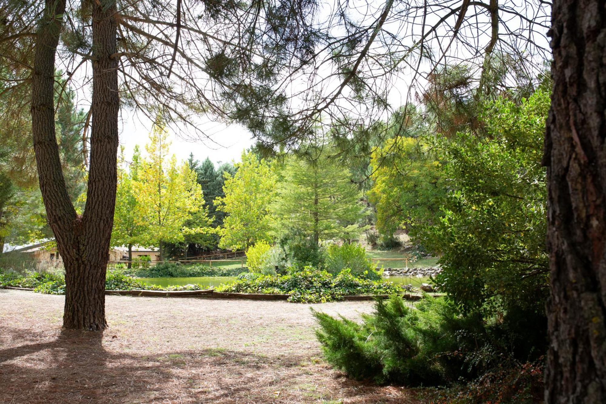 Casa Rural Riopar, Luxury In Nature エクステリア 写真